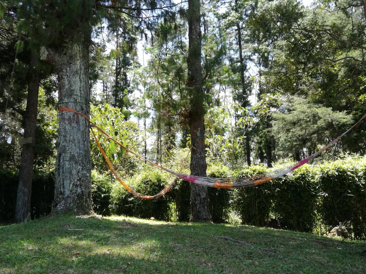 Al Bosque Hostel & Glamping Santa Elena  Εξωτερικό φωτογραφία