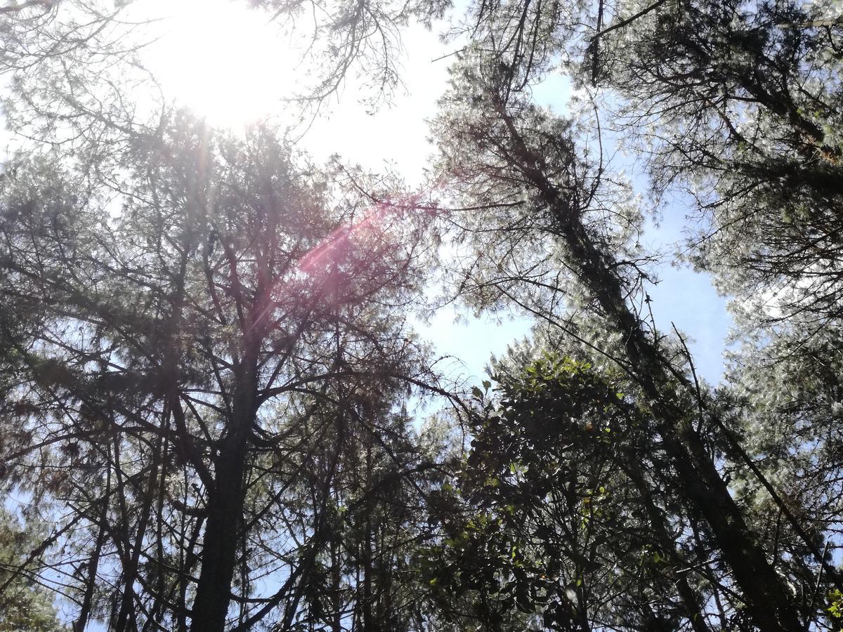 Al Bosque Hostel & Glamping Santa Elena  Εξωτερικό φωτογραφία