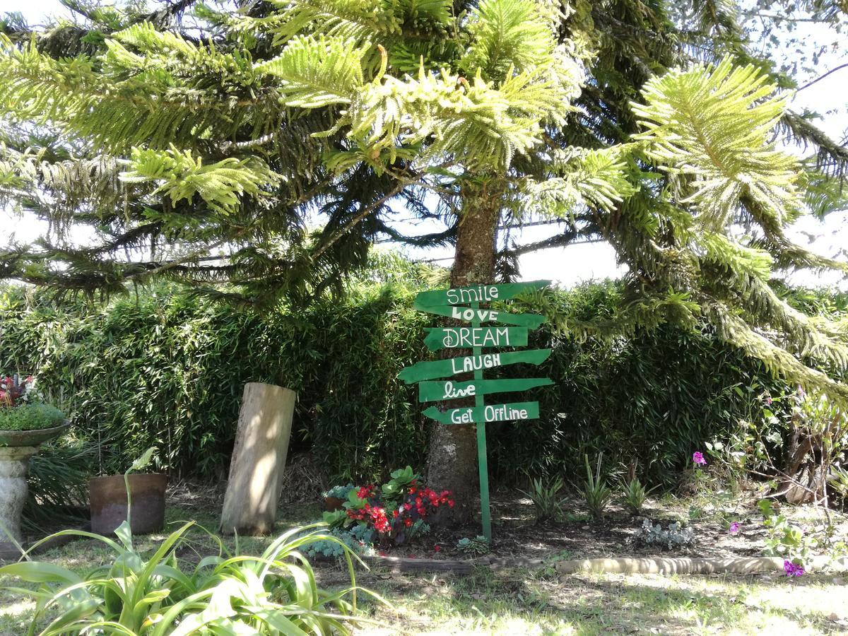Al Bosque Hostel & Glamping Santa Elena  Εξωτερικό φωτογραφία