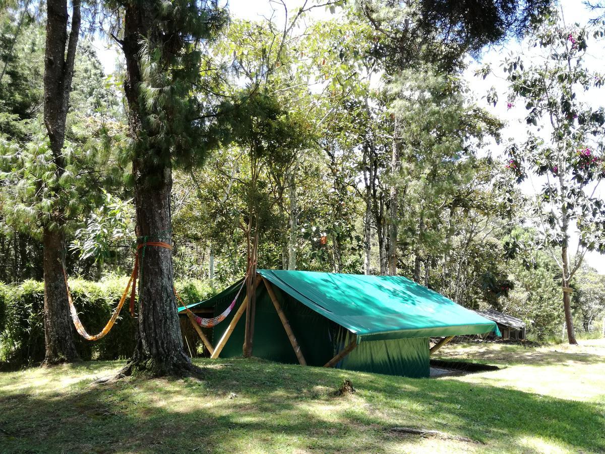 Al Bosque Hostel & Glamping Santa Elena  Εξωτερικό φωτογραφία