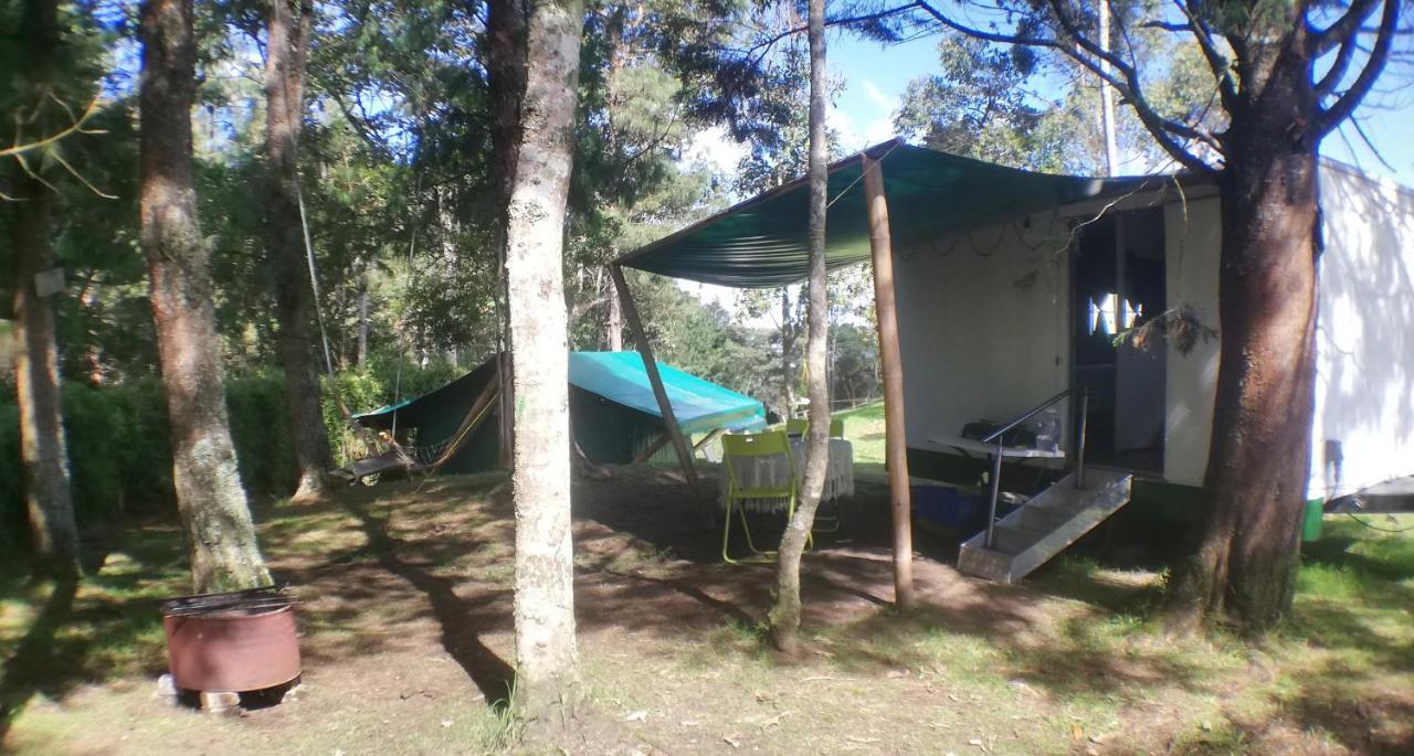 Al Bosque Hostel & Glamping Santa Elena  Εξωτερικό φωτογραφία